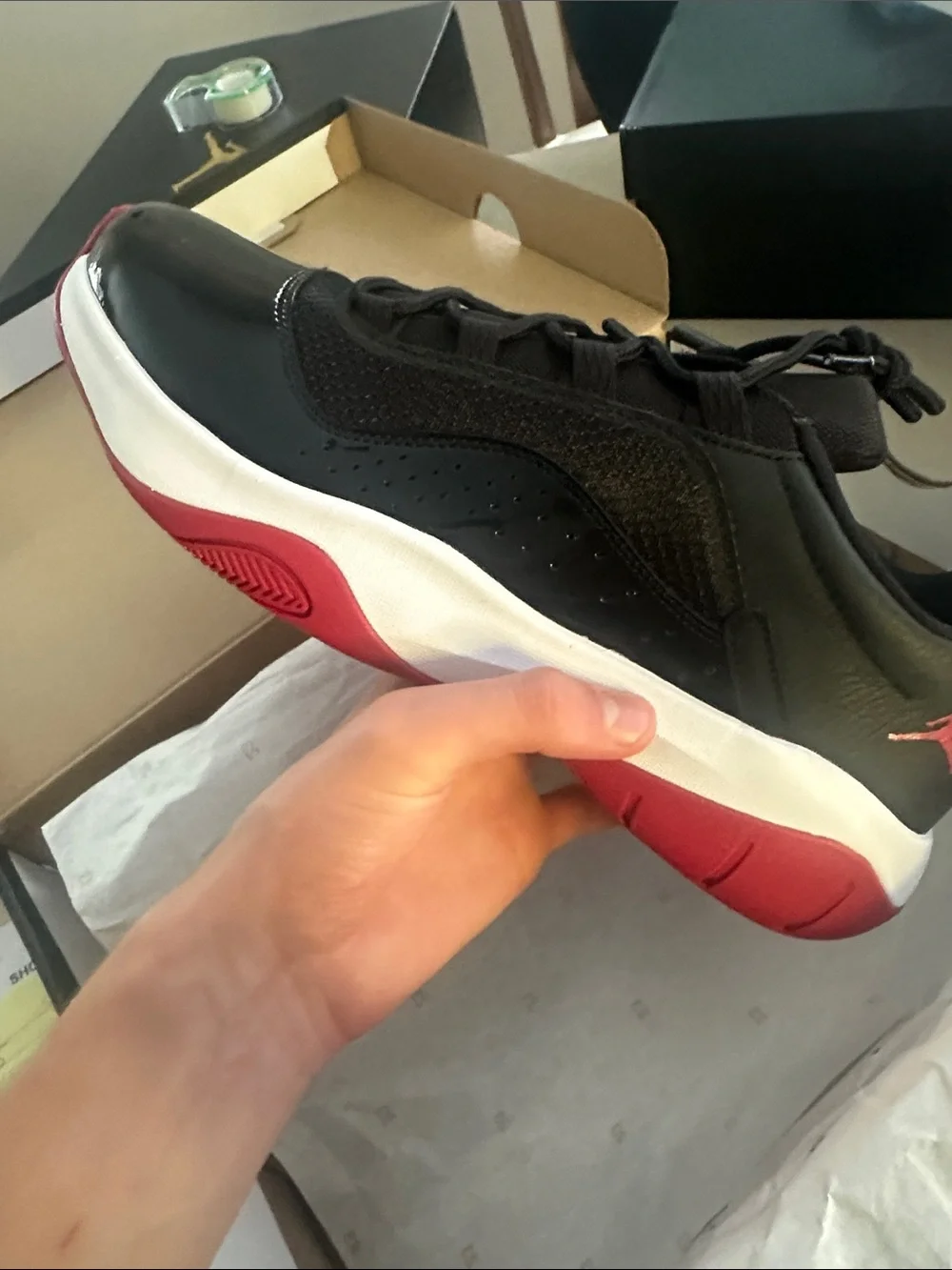 Air Jordan 11 low